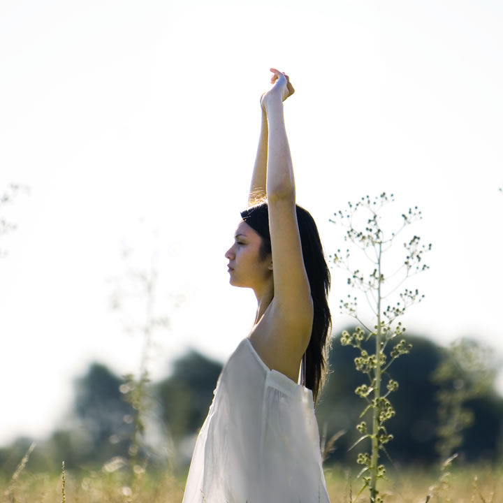 product-overview-holistic-2
