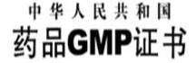 logo-GMP@2x